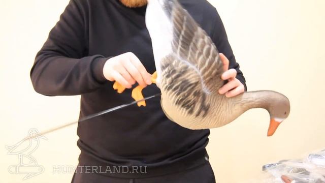 КОМПЛЕКТ ЧУЧЕЛ БЕЛОЛОБОГО ГУСЯ, "NORTHWAY", 3D, 12 ШТУК, ЛАПКИ, NWE2018 смотреть онлайн