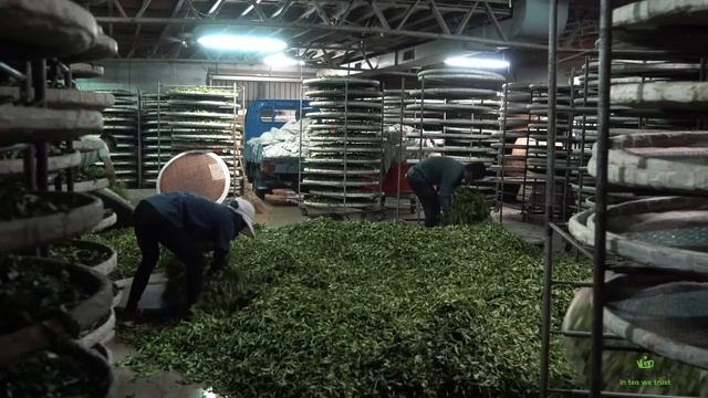 Путешествие в Наньтоу. Тайвань смотреть онлайн