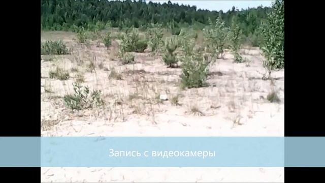 Квадрокоптер HIPER Falcon X FPV смотреть онлайн