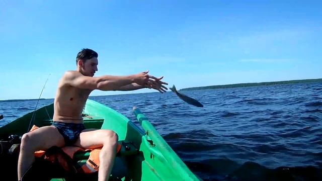 Ловля судака на Вышневолоцком водохранилище. Утро. смотреть онлайн