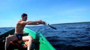 Ловля судака на Вышневолоцком водохранилище. Утро.