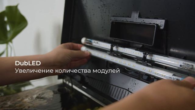 Aquael Leddy XL Day & Night - make room for your passion (RU) смотреть онлайн