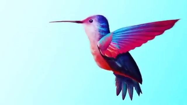 Colibrí смотреть онлайн
