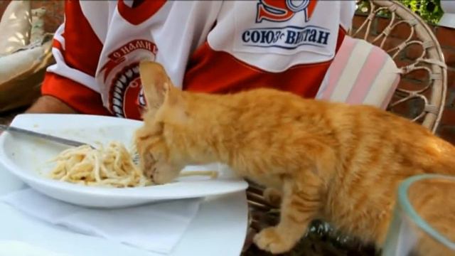 Приключения Борща в Египте Серия вторая смотреть онлайн