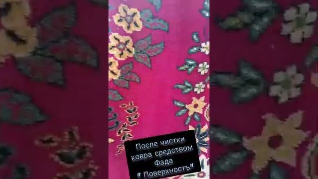 Чистка ковра до и после смотреть онлайн
