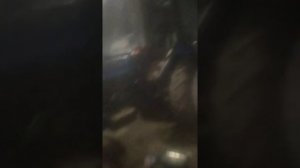 Правильная регулировка зажигания двигателя Д240 мтз