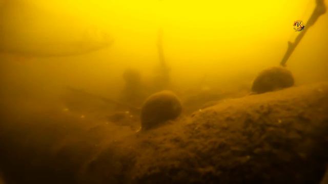 река ПАХРА, 🐟 Подмосковье, занесло меня в иноземные края _) Поплавочная удочка на РЫБАЛКЕ- fishing смотреть онлайн