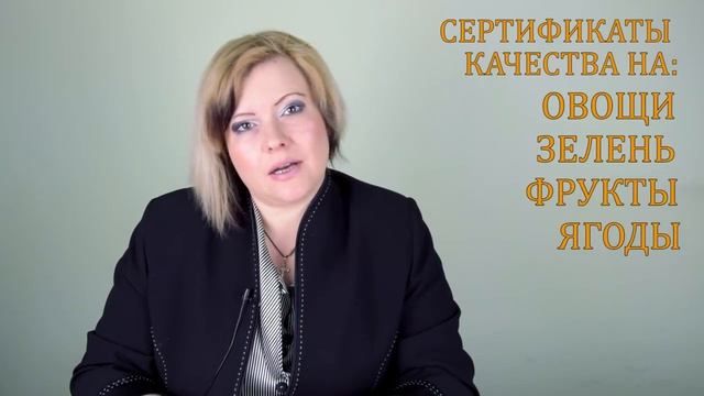 Seven Service Centre - Сертификаты смотреть онлайн