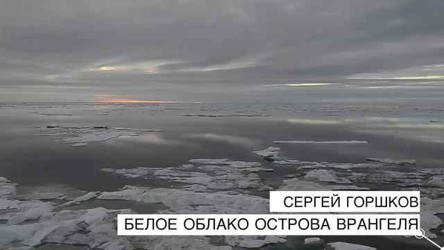 Остров Врангеля, 180 меридиан или родильный дом белых медведей. Введение. смотреть онлайн