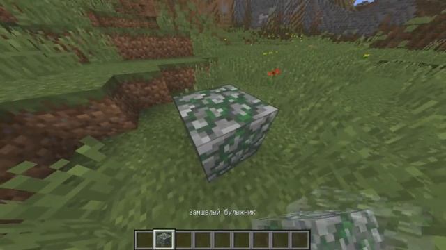 Ставлю замшелый булыжник #41