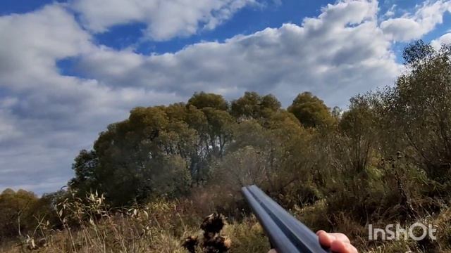 125-Диалоги о Мишане (Рыбалка, охота, грибы)16.10.2022 смотреть онлайн