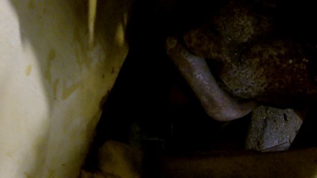 Заводим V8 4.6L FORD Modular после долгого простоя. Кастом радиатор. смотреть онлайн