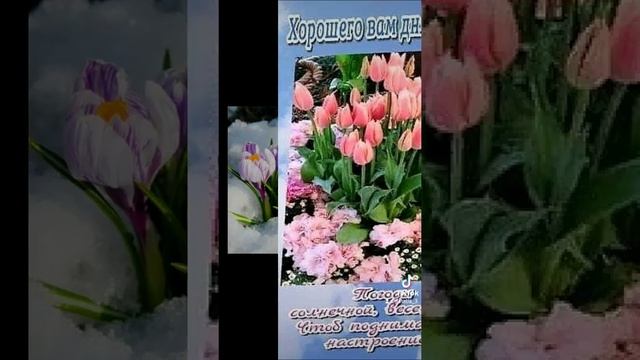 С добрым,чудесным,весенним утром? смотреть онлайн