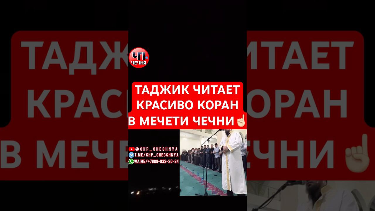 ❗️Таджик Сиратуллох| Раупов, красивое чтение КОРАНА в одной из мечети в Чечне.
