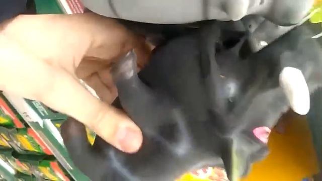 Выбираем подарок на день рождения другу смотреть онлайн