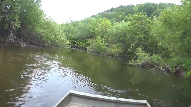 КОППИ заросшая протока смотреть онлайн