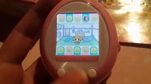 Обзор тамагочи plus color