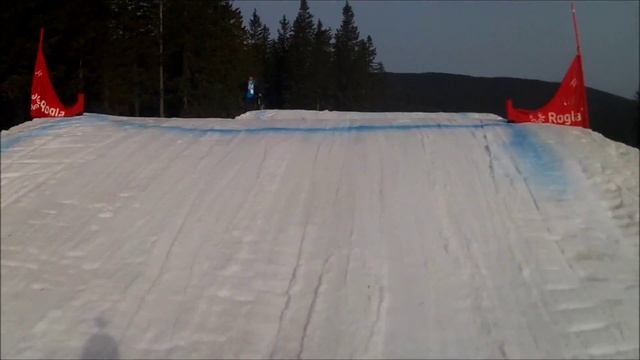 boardercross rogla (slovenia) смотреть онлайн