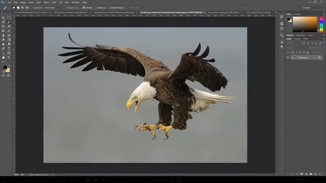 Sử dụng chức năng Color range trên photoshop để tạo vùng chọn phức tạp смотреть онлайн