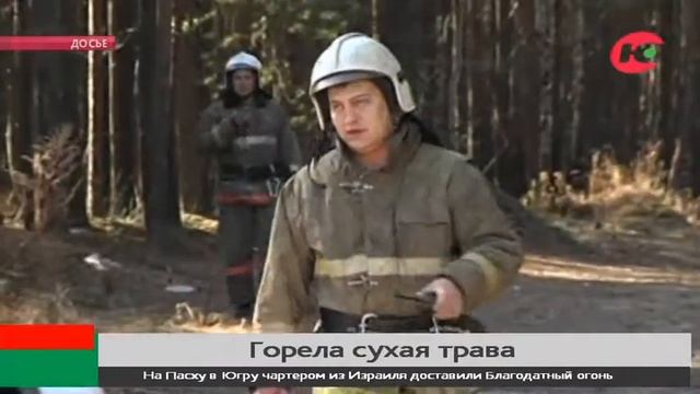 В Югре горит сухая трава смотреть онлайн