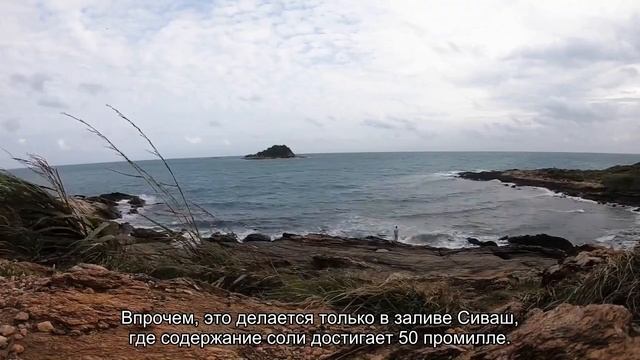 Интересные и малоизвестные факты об Азовском море смотреть онлайн
