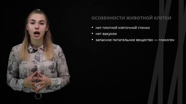 Систематика животных | Биология смотреть онлайн