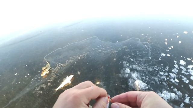 Ловим Берша и Судака. Кама смотреть онлайн