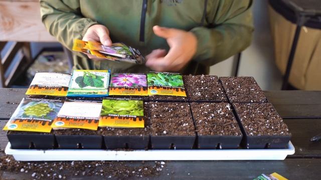 My NEW Favorite Seed Starting Method ??? смотреть онлайн