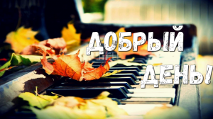 Добрый День! Пусть День Будет Добрым!