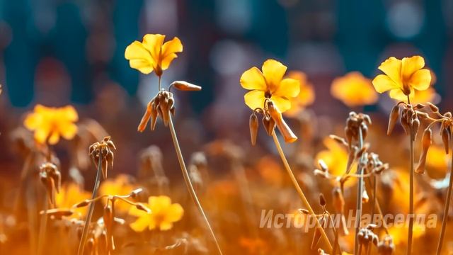 Учительница спасла мальчика сироту, а спустя время оказавшись на улице... смотреть онлайн