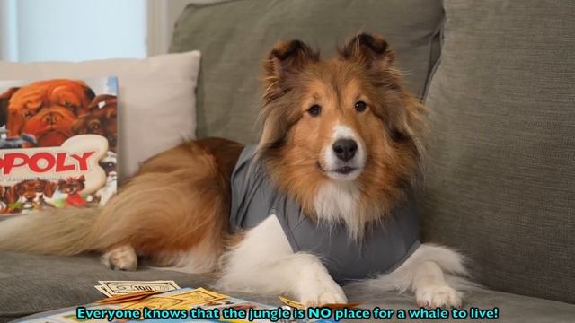"Fart Squirrels!"  ?️? The Best Lines of 2023 part 2 - Be sure to Follow The Cricket Chronicles e33 смотреть онлайн