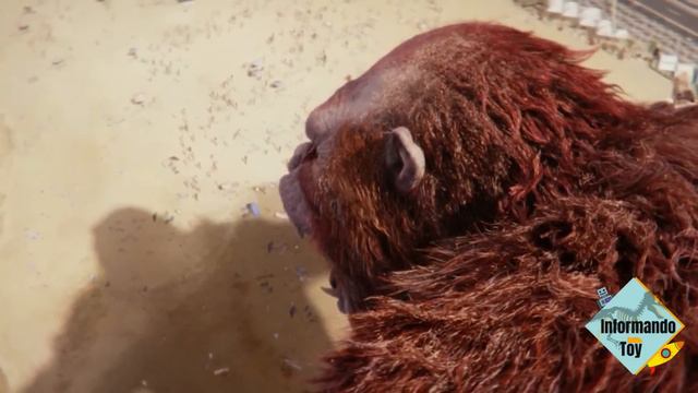 GODZILLA VS SKAR KING | NUEVA ESCENA de la BATALLA FINAL | GODZILLA x KONG: THE NEW EMPIRE смотреть онлайн