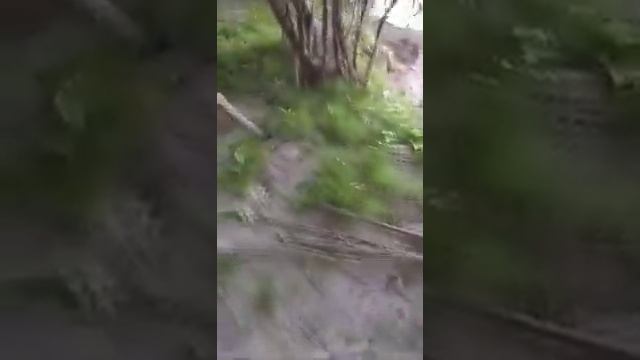 Дача день за днем. Как упала вода в Оби в августе 2021года. смотреть онлайн