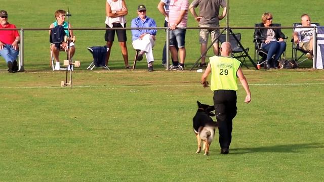 Niak 2016 Henk Wiedijk Bacteroides Kyan Obedience 85 P смотреть онлайн
