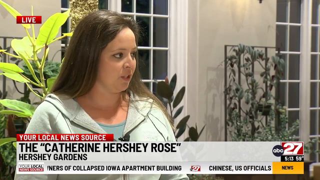Hershey Gardens Announce New Rose Named After Catherine Hershey