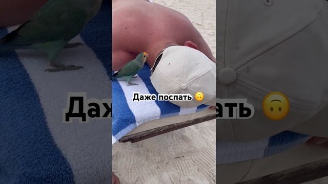 А вы говорите на Мальдивах релакс ?♀️ #мальдивы #фотографспб смотреть онлайн