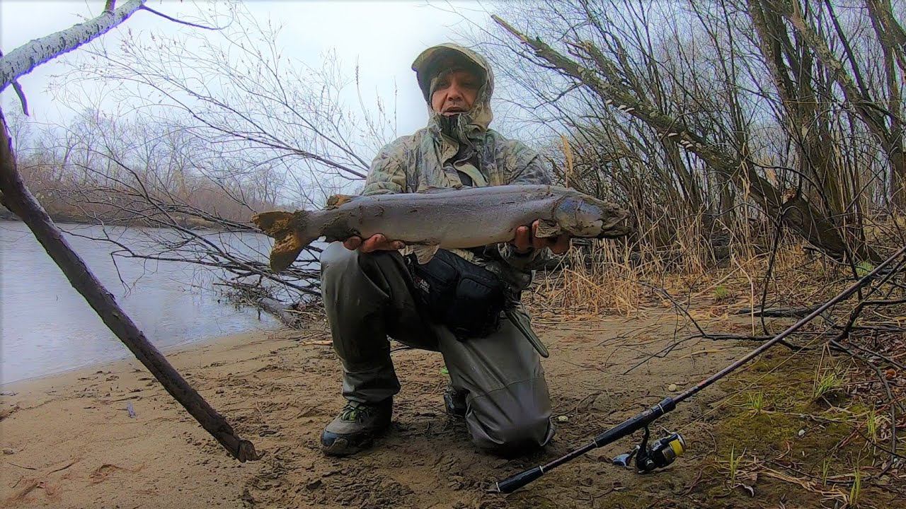 Первые трофеи сезона. Тайга, дождь, таймени смотреть онлайн