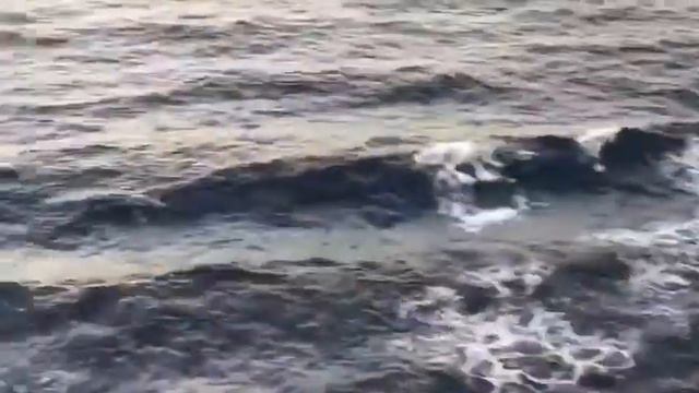 Средиземное море чернильного цвета смотреть онлайн