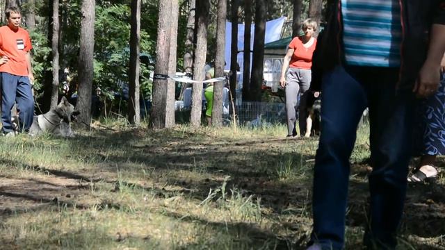 Проверка рабочих качеств на моно ВЕО . Работа фигуранта смотреть онлайн