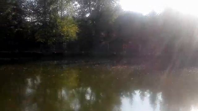 Фишка Липки. Выезд на карпа с карасевой удочкой. смотреть онлайн