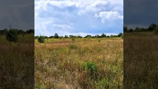 Моя родина Россия смотреть онлайн