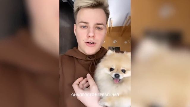 КАРИНА КРОСС В ГОСТЯХ У ДРИМ ТИМ! | STORIES | DREAM TEAM HOUSE смотреть онлайн