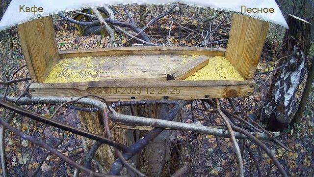 Кафе "Лесное" смотреть онлайн