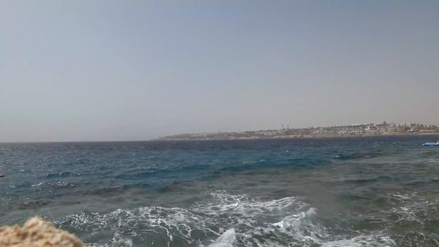 Египет в марте пляж Grand Oasis Resort 4