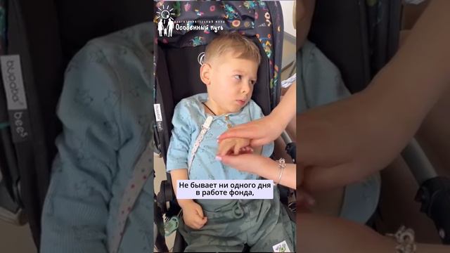 Стратегия командной работы. Попечитель Фонда Владимир Брилёв. БФ "Особенный путь". смотреть онлайн