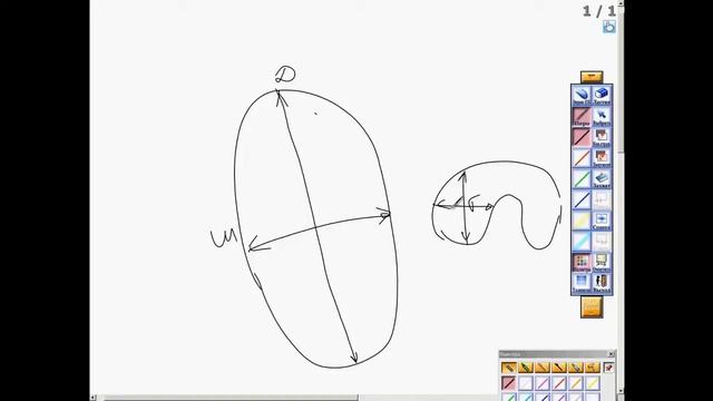 Принципы оценки и протоколирования УЗИ ЩЖ смотреть онлайн