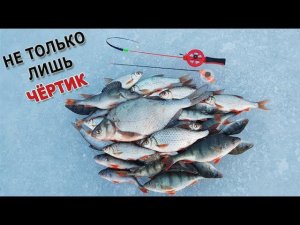 Безмотылка ловит всё... а ехали за плотвой - чёртик и конфетка в работе