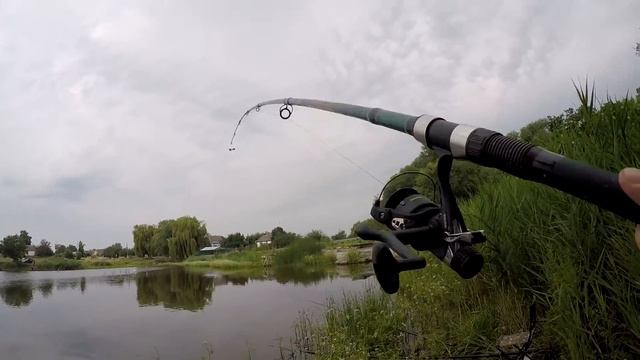 Ловля КАРПА и КАРАСЯ на БОЛОТЕ смотреть онлайн