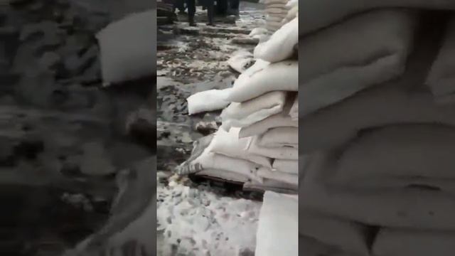 Как хранят сахар, который потом попадает на наши столы, в организм. смотреть онлайн