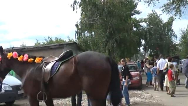 Сенгилей. День города 26.08.2012г. смотреть онлайн